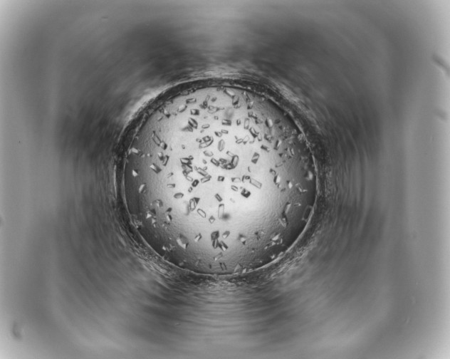 X0000095521214200712281453