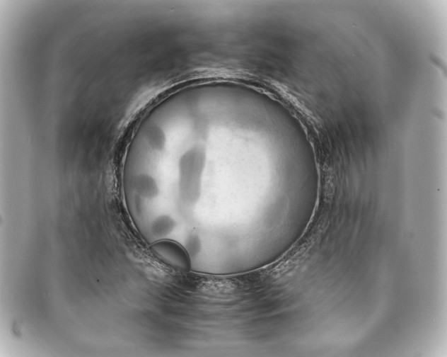 X0000095521215200712281453