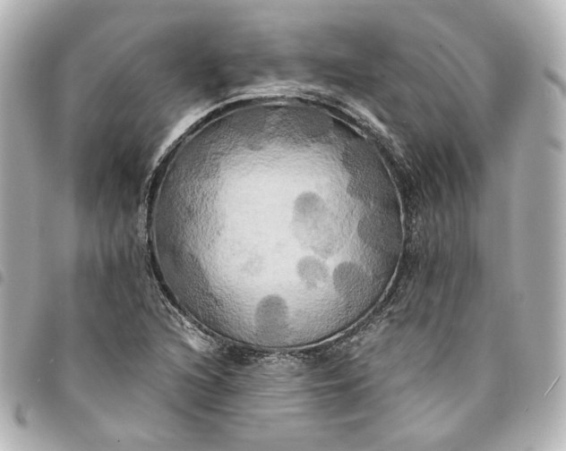 X0000095521216200712281453