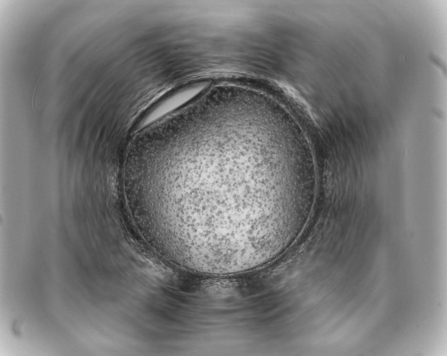 X0000095521217200712281453