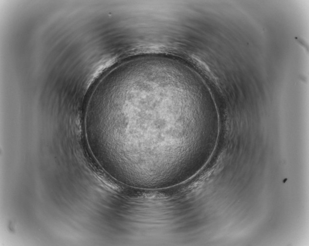 X0000095521218200712281453