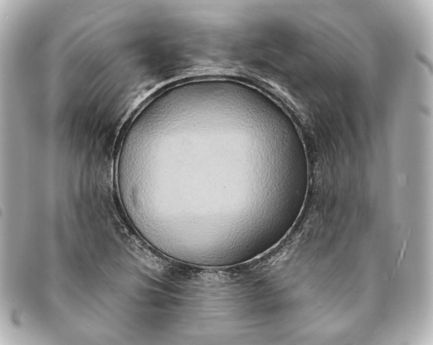 X0000095521220200712281453