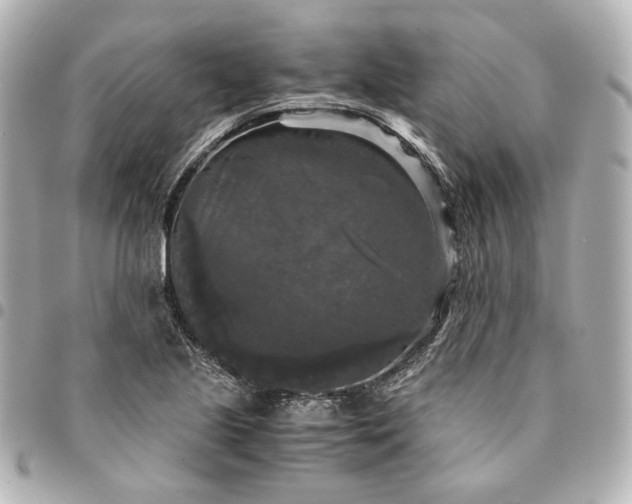 X0000095521221200712281453