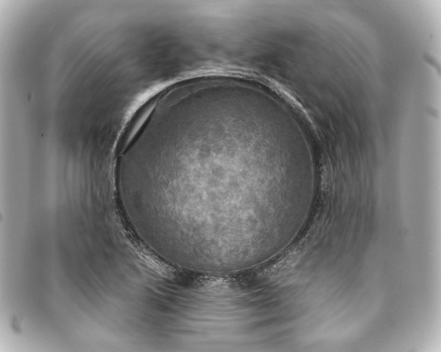 X0000095521222200712281453