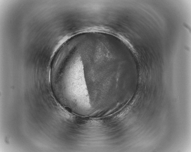 X0000095521224200712281453