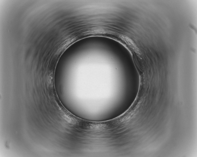 X0000095521225200712281453