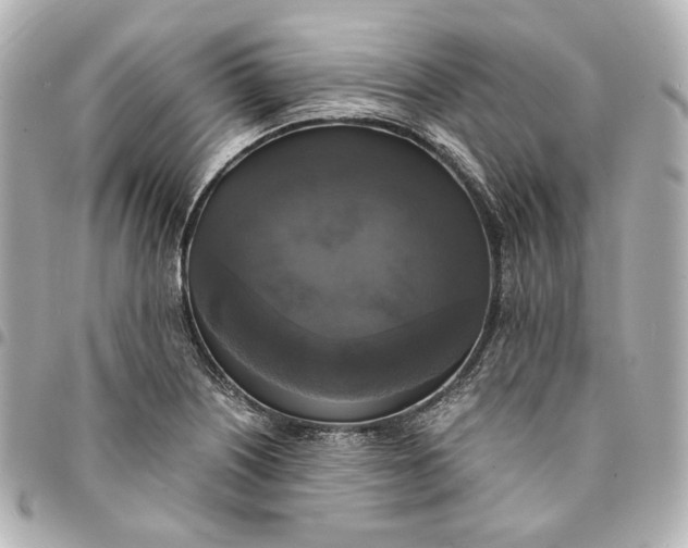 X0000095521226200712281453