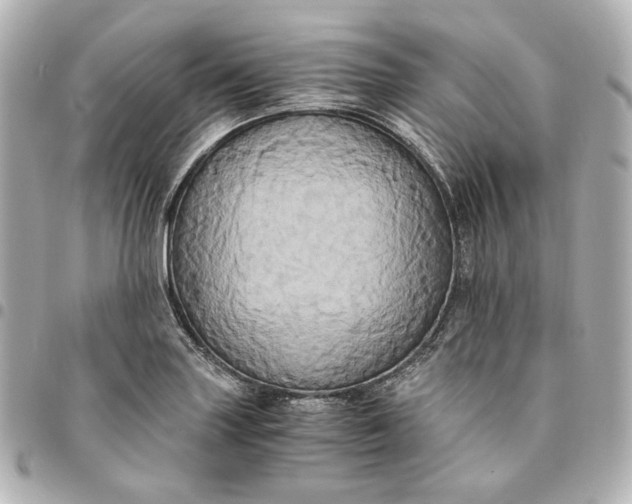 X0000095521227200712281453