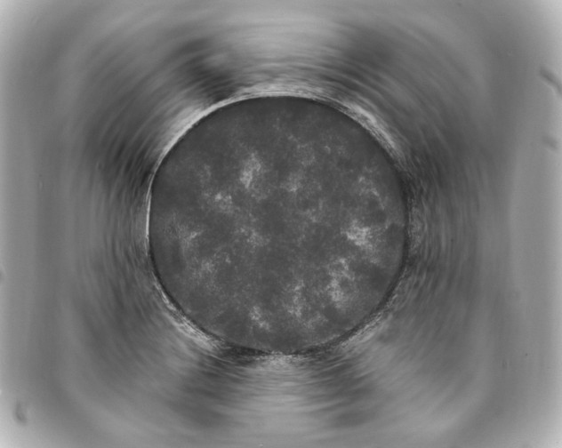 X0000095521228200712281453