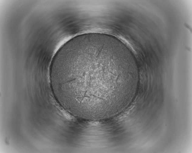 X0000095521230200712281453