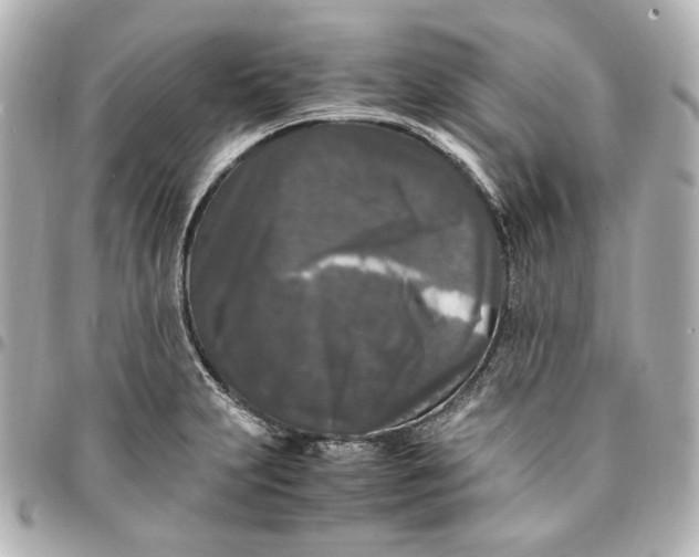 X0000095521231200712281453