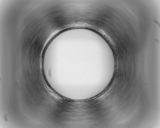 X0000095521232200712281453