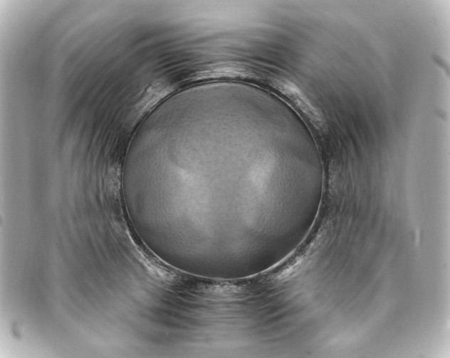 X0000095521233200712281453