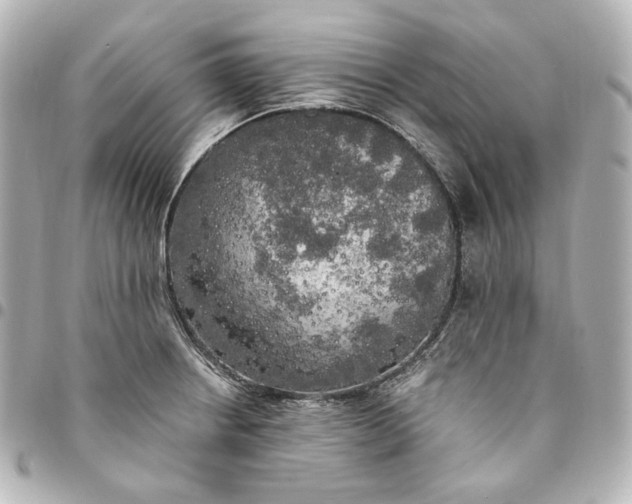 X0000095521234200712281453