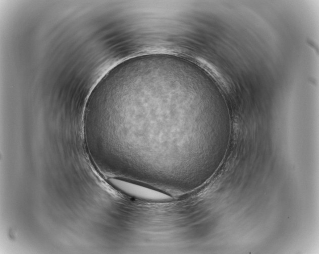 X0000095521236200712281453