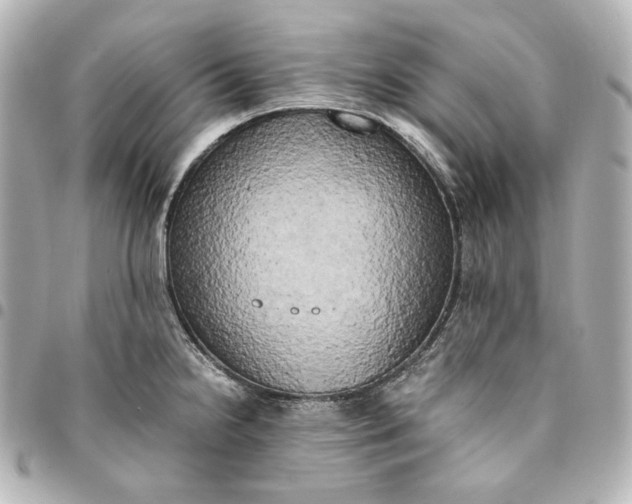 X0000095521238200712281453