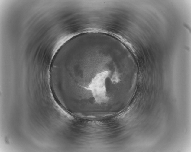 X0000095521239200712281453