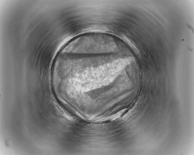 X0000095521240200712281453