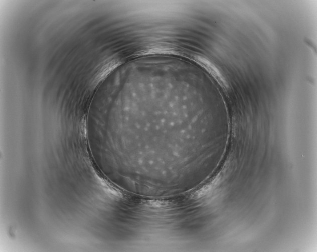 X0000095521241200712281453