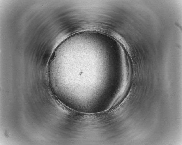 X0000095521242200712281453