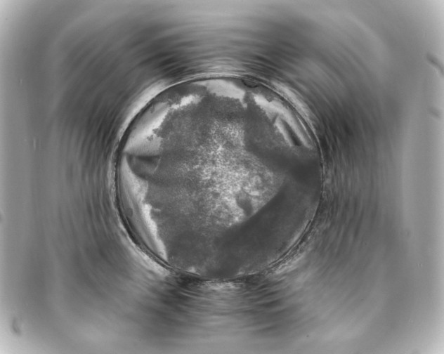 X0000095521243200712281453