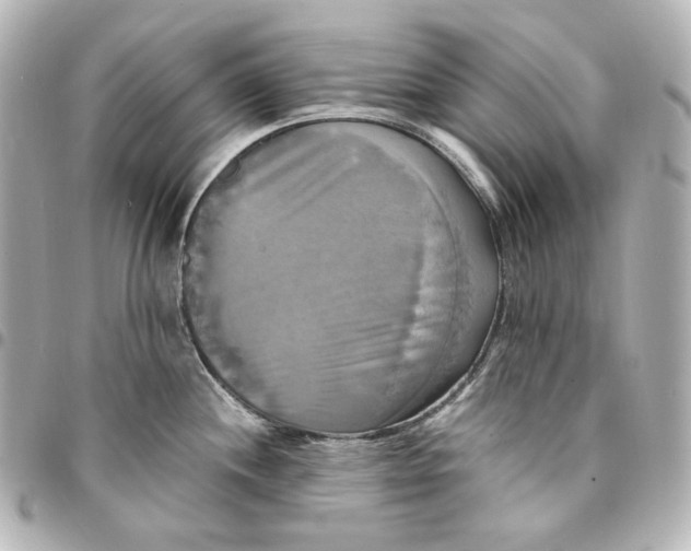 X0000095521244200712281453