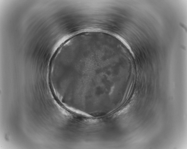 X0000095521245200712281453