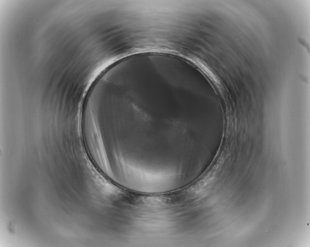 X0000095521246200712281453