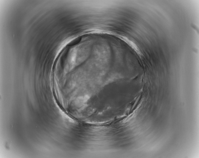 X0000095521247200712281453