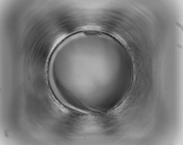 X0000095521248200712281453