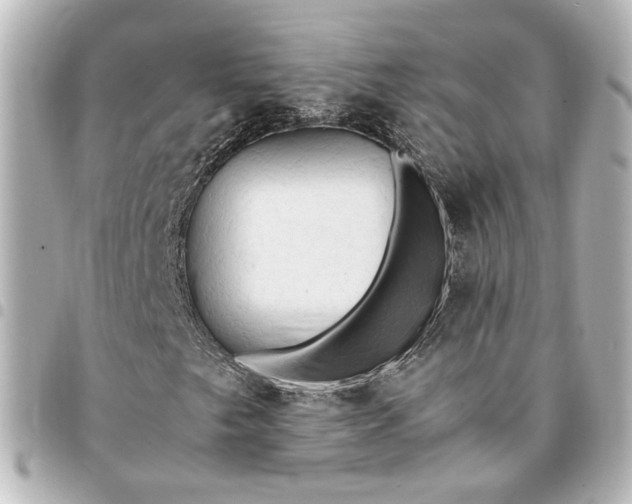 X0000095521249200712281452