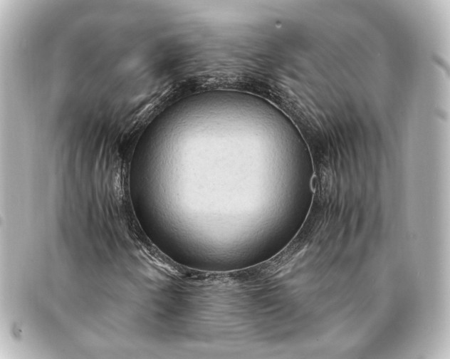 X0000095521250200712281452