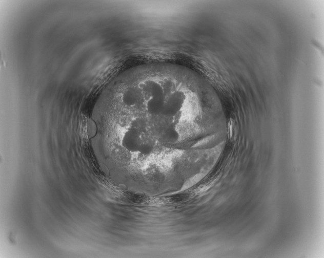 X0000095521251200712281452