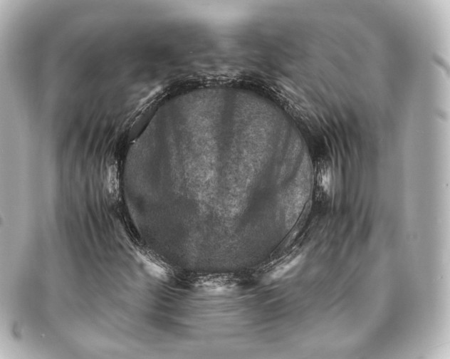 X0000095521252200712281452