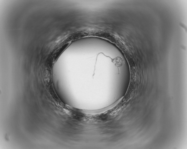 X0000095521253200712281452