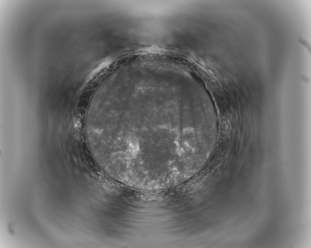 X0000095521254200712281452