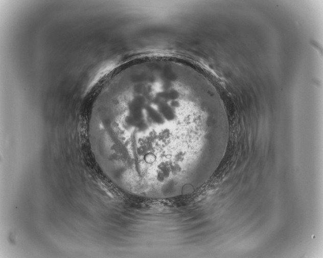 X0000095521255200712281452