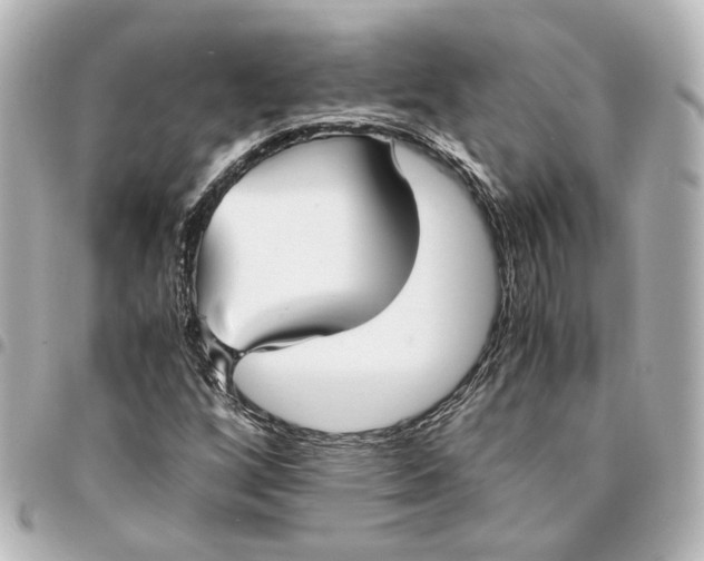 X0000095521256200712281452