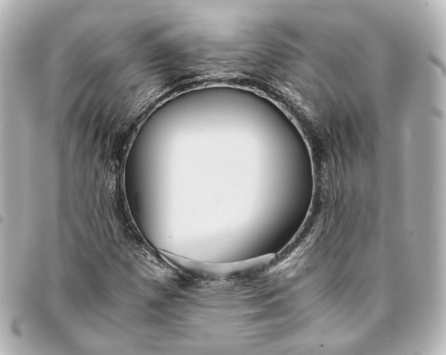 X0000095521257200712281452