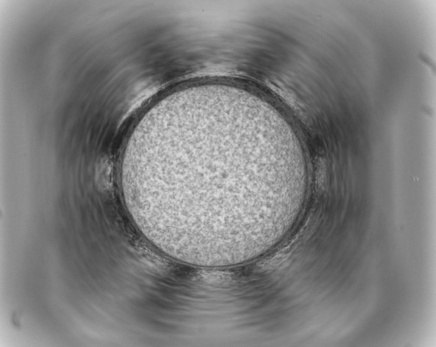 X0000095521258200712281452