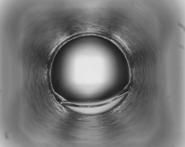 X0000095521260200712281452