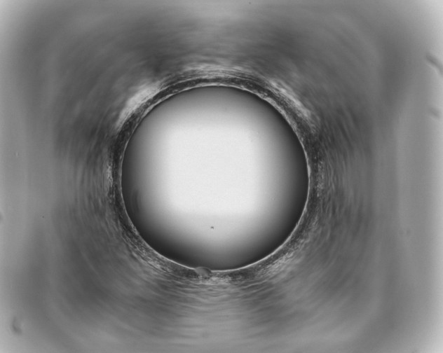 X0000095521261200712281452