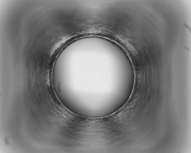 X0000095521262200712281452