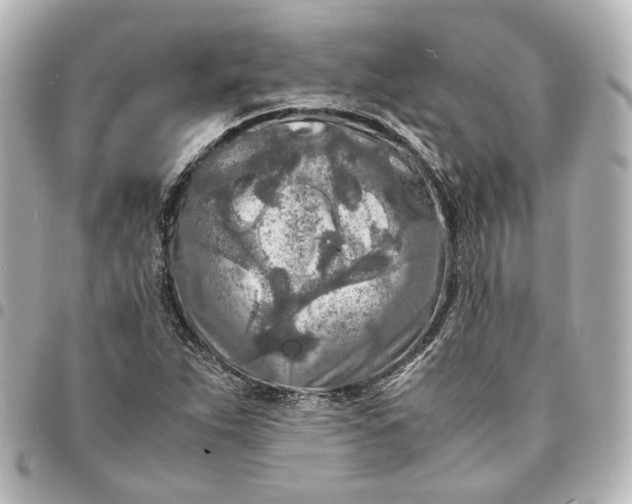 X0000095521263200712281452