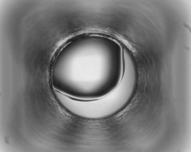 X0000095521264200712281452