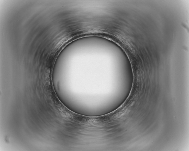 X0000095521265200712281452