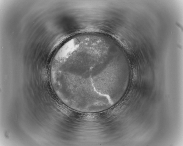 X0000095521266200712281452