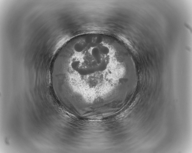 X0000095521267200712281452