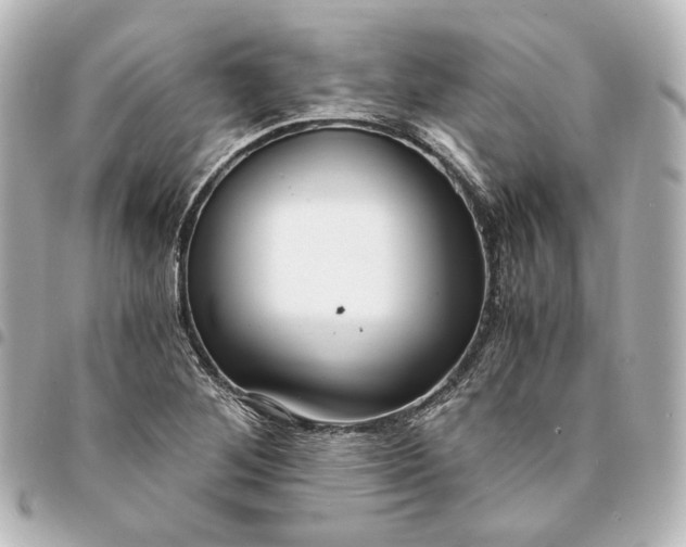 X0000095521268200712281452