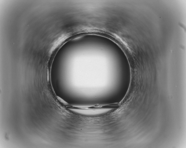 X0000095521269200712281452